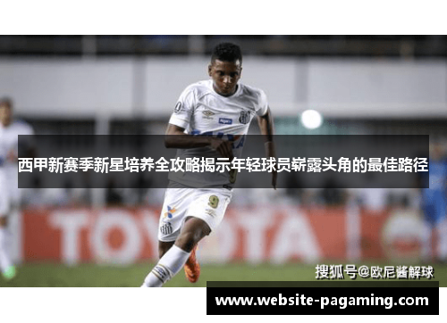 西甲新赛季新星培养全攻略揭示年轻球员崭露头角的最佳路径