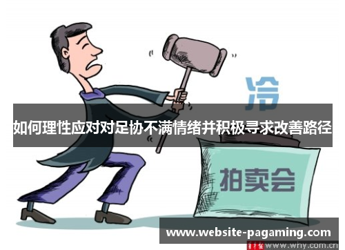 如何理性应对对足协不满情绪并积极寻求改善路径
