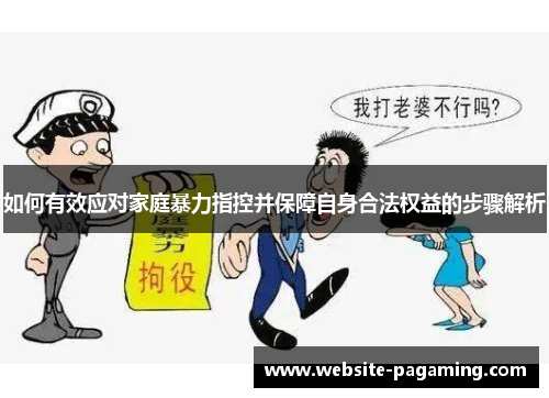 如何有效应对家庭暴力指控并保障自身合法权益的步骤解析