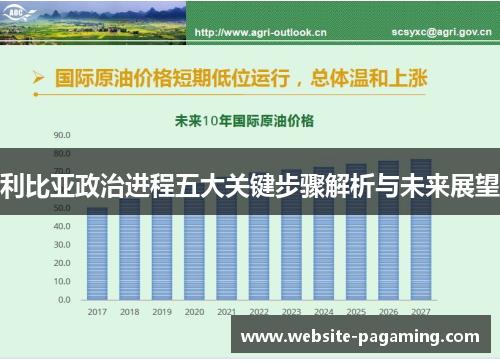 利比亚政治进程五大关键步骤解析与未来展望