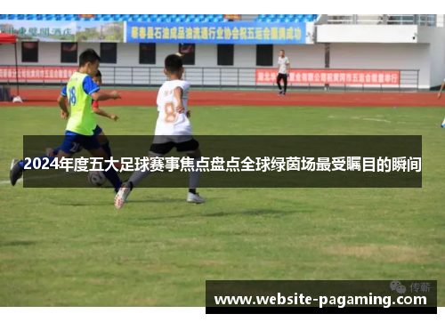 2024年度五大足球赛事焦点盘点全球绿茵场最受瞩目的瞬间