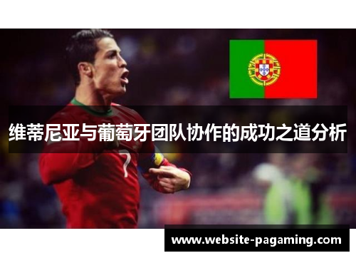 维蒂尼亚与葡萄牙团队协作的成功之道分析