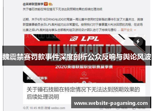 魏震禁赛罚款事件深度剖析公众反响与舆论风波