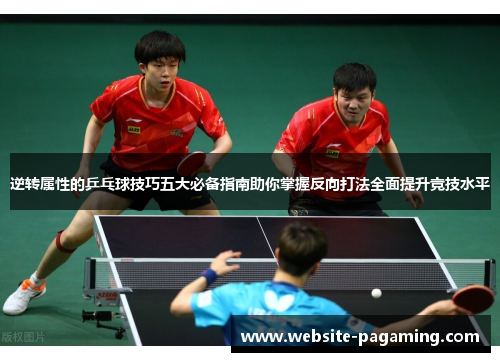 逆转属性的乒乓球技巧五大必备指南助你掌握反向打法全面提升竞技水平