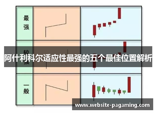 阿什利科尔适应性最强的五个最佳位置解析