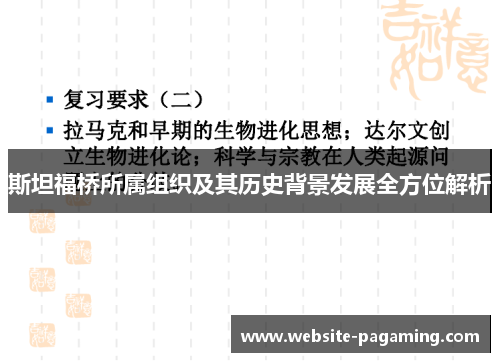 斯坦福桥所属组织及其历史背景发展全方位解析