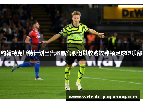 约翰特克斯特计划出售水晶宫股份以收购埃弗顿足球俱乐部 约翰特克斯特计划出售水晶宫股份以收购埃弗顿足球俱乐部
