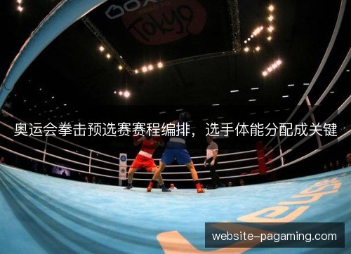 奥运会拳击预选赛赛程编排,选手体能分配成关键 奥运会拳击预选赛赛程编排,选手体能分配成关键
